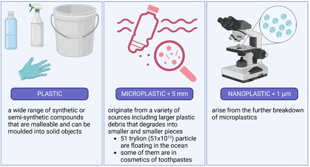 Microplastics vs Plastic vs nano-plastics