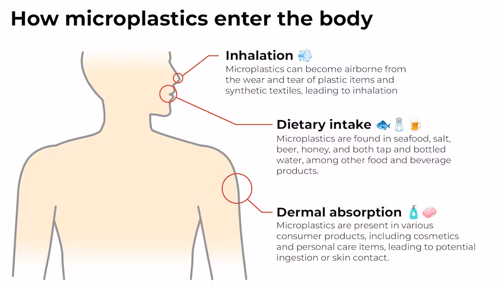 Microplastic and health - how they enter human body